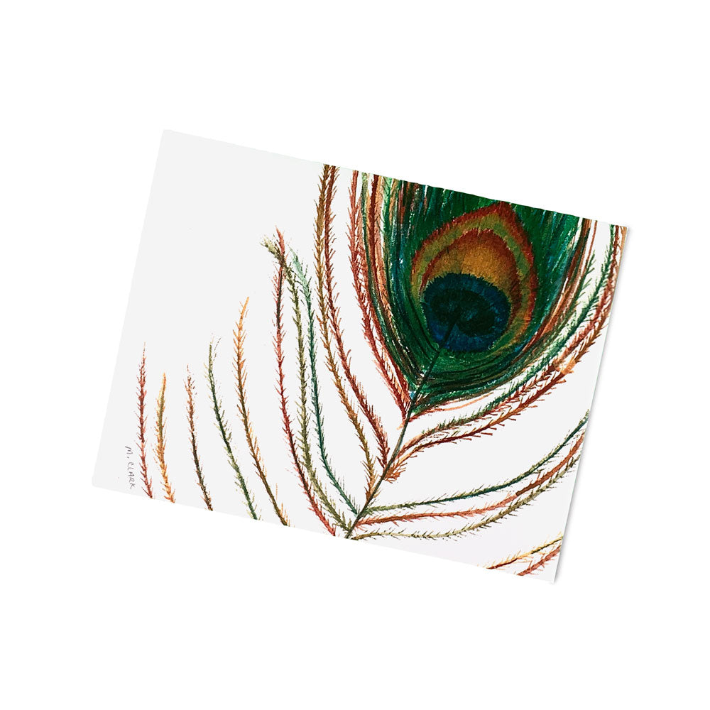 Watercolor Peacock Feather Right. Everyday Greeting Cards for Christian Women.